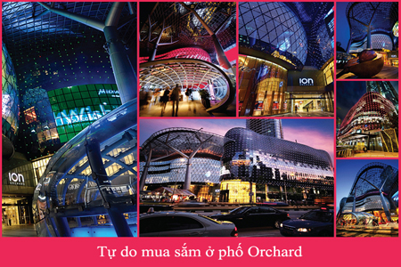 Du lịch Singapore Sài Gòn - Garden by the Bay (T5/2015)